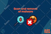 fix any wordpress issues, errors and bugs