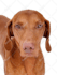 remove object from image or add person in photoshop