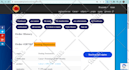 do the website development