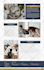 create wordpress amazon affiliate website without API key