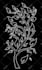 design 2d cad drawing for laser and plasma cutting