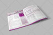 do a professional newsletter design
