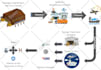 create infographic business flowchart or presentations