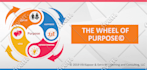 design branded powerpoint pitch deck, google slides, canva presentation for you