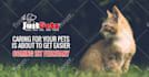 design high quality web banner, social media cover, google ads, header