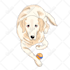 create cool sticker design