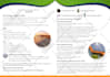 design flyer or brochure design, food flyer for business