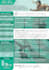 design professional flyer for your targeted market