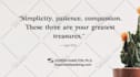 do awesome graphic designs using canva