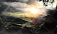 create mind blowing illustrations for you
