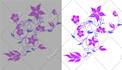do vector tracing in 6 hours