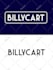 convert your logo mascot or trademark into high resolution vector