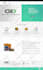 develop attractive ecommerce websites
