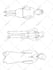 draw line art drawing