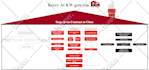 draw infographics, flow diagrams and any figure