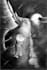 make a black and white sketch