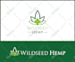 create flat minimalist logo design