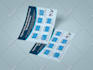 design a modern business flyer and creative marketing flyer