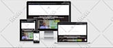 build an affordable custom wordpress website for  business