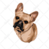 draw dog or any pet to cartoon portrait