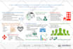make an attractive and eye catching infographic