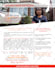 design a professional flyer or brochure for your business