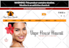 perfect wordpress theme customization