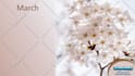 design professional powerpoint presentations pitch decks templates