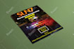 design professional and product flyers and brochures within 10 hours