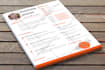 do professional resume writing, cover letter, linkedin and resume design