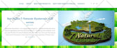 create SEO friendly wordpress website