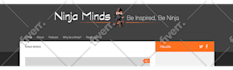 fix wordpress issues, elementor website, divi theme expert