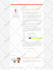 convert xd, psd, figma to wordpress, html to wordpress