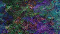 deep dream 10 images
