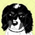 draw your pet in a fun colorful style