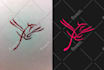 make your CRISP monogram