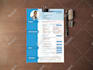 do professional CV, resume design