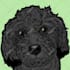 draw your pet in a fun colorful style