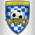 create a new or redesign a soccer logo