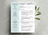 do professional CV, resume design