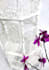 retouch and edit anything graphic with photoshop