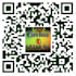 create 2 customized branded QR Codes