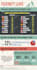 create a professional infographic