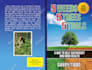 design a CreateSpace book cover for you