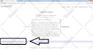 write 500 words quality blog or SEO article within 24 hours