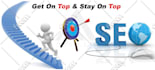 drive keyword targeting organic traffic, google visitors