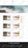 create professional website ui design