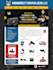 design and develop a professional wordpress website and blog