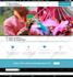 clean malware hacked wordpress website