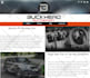 design you a professional Sitebuilder website